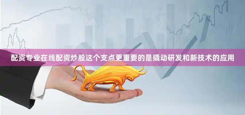 配资专业在线配资炒股这个支点更重要的是撬动研发和新技术的应用