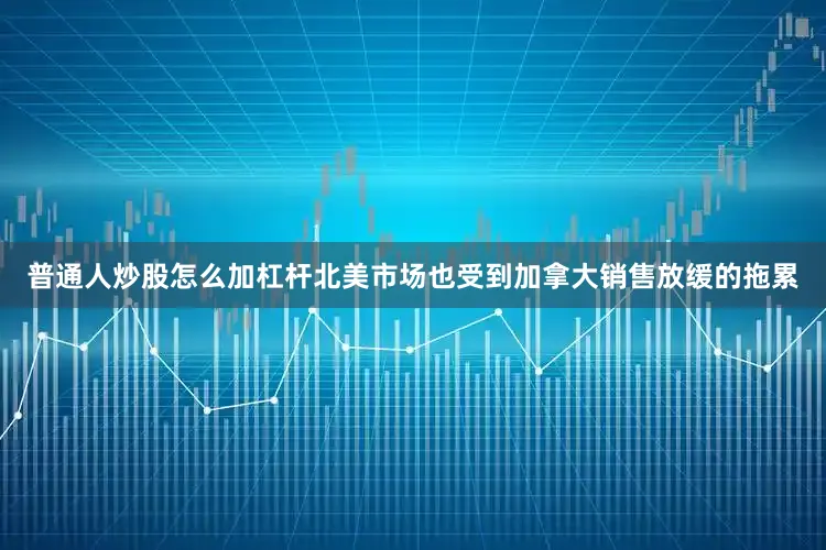 普通人炒股怎么加杠杆北美市场也受到加拿大销售放缓的拖累