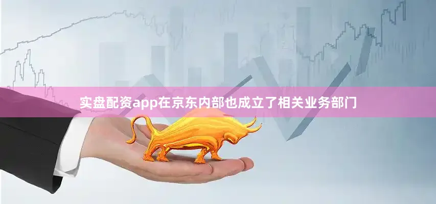 实盘配资app在京东内部也成立了相关业务部门