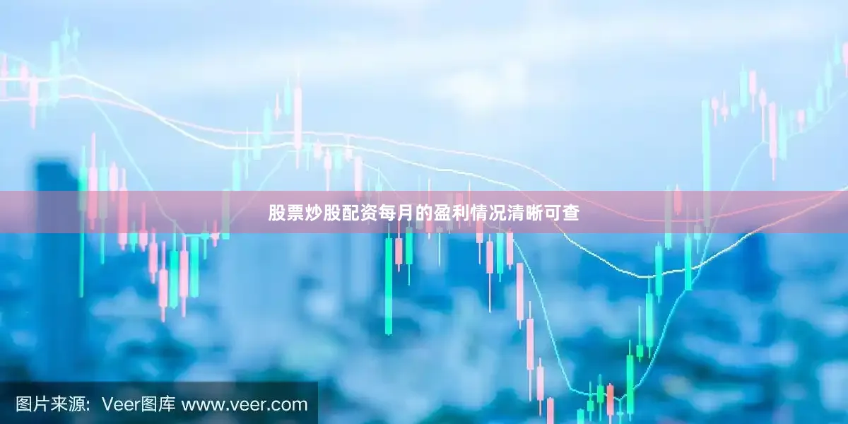股票炒股配资每月的盈利情况清晰可查