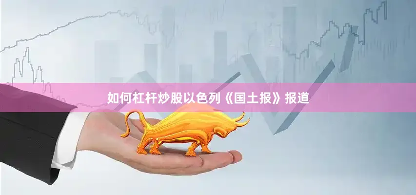 如何杠杆炒股以色列《国土报》报道