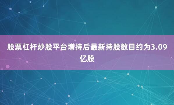 股票杠杆炒股平台增持后最新持股数目约为3.09亿股