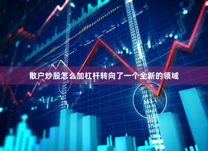 散户炒股怎么加杠杆转向了一个全新的领域
