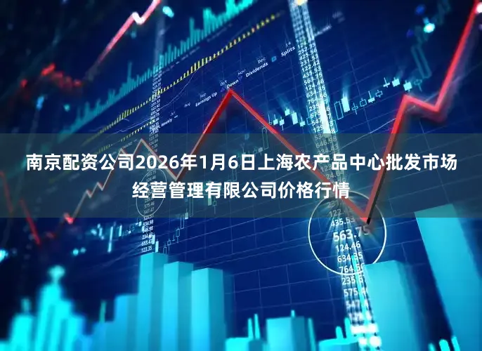 南京配资公司2026年1月6日上海农产品中心批发市场经营管理有限公司价格行情
