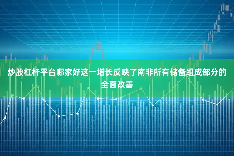 炒股杠杆平台哪家好这一增长反映了南非所有储备组成部分的全面改善