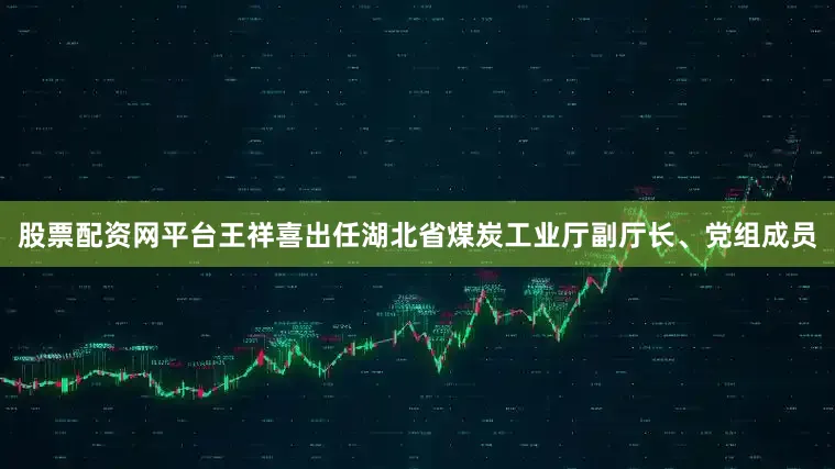 股票配资网平台王祥喜出任湖北省煤炭工业厅副厅长、党组成员