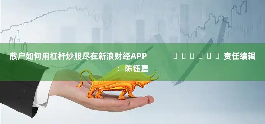 散户如何用杠杆炒股尽在新浪财经APP            						责任编辑：陈钰嘉