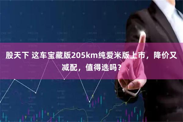 股天下 这车宝藏版205km纯爱米版上市，降价又减配，值得选吗？